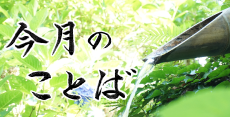 今月の言葉
