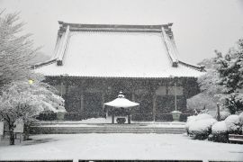 雪景色