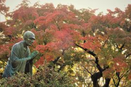 一遍上人とカエデ